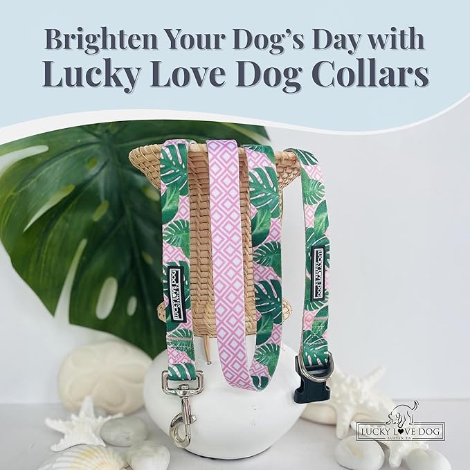 Lucky Love Dog - Adjustable Dog Collar with Easy Click Buckle for Small to Large Ones, Durable, & Comfortable for Male & Female Dogs, Pet Collar for Puppies & Adult Dogs - Laguna, XS