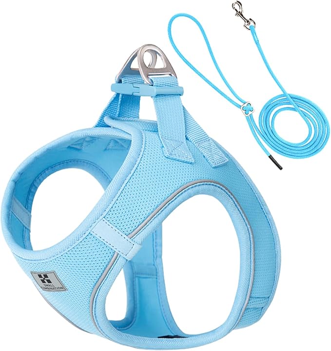 Adjustable Dog Harness with Leash, Reflective Mesh, No-Pull Design，Matching Lead Rope (SkyBlue, S)