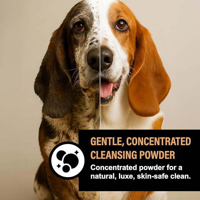 Dog Shampoo Alternative – Oatmeal & Honey Puppy Bubble Bath with Autumn Scent – Natural Gentle Dog Wash – Halloween Dog Gift - 12 Baths (Amber Sandalwood)