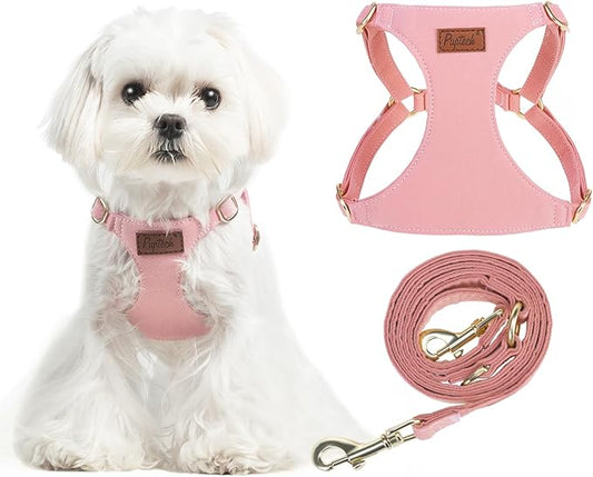 PUPTECK Dog Harness and Leash Set Small Sized, Step-in Cute Puppy Harness, Soft Lightweight Padded Vest, Escape Proof No Pull Pet Harnesses Easy for Walking, Pink, XS