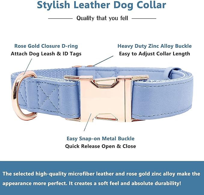 Soft Leather Dog Collar and Leash (6.6') Set - Stylish Rose Gold Heavy Duty Metal Buckle, 4 Adjustable Lengths Leash for Small Medium Large Dogs - Comfortable & Easy to Clean BluePurple L(15.4"-24.8")