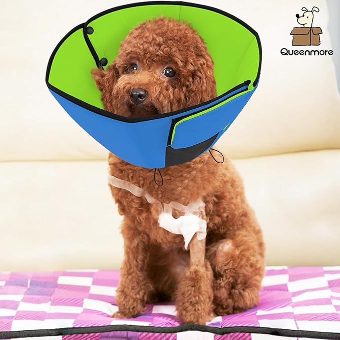 Queenmore Dog Cones for Small Dogs, Soft Cone for Dogs After Surgery, Adjustable Comfy Cone for Dogs & Cats, Comfortable Pet Cone After Surgery for Wound Healing, Blue&Green S