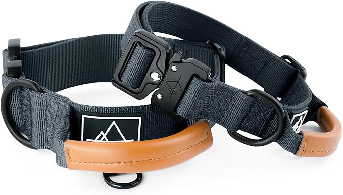Made to Roam Premium Explorer Control Collar - Adjustable Heavy Duty Nylon Dog Collar with Quick-Release Metal Buckle and Leather Handle (New York Afterlight, Size 2, Control)