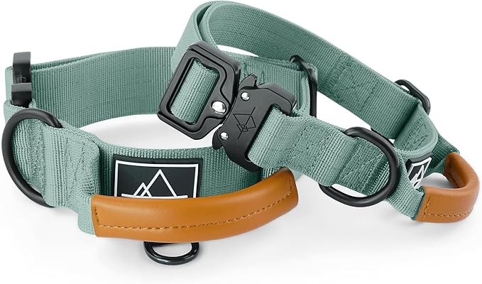 Roam Made toPremium Explorer Control Collar - Adjustable Heavy Duty Nylon Dog Collar with Quick-Release Metal Buckle and Leather Handle (Florida Seaside, Size 4, Control)