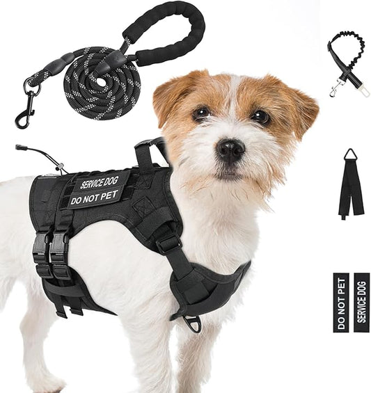 No Pull Tactical Dog Harness for Small Dogs, Escape Proof Molle Dog Vest Harness and Leash Set, Adjustable Military Service Dog Harness with Handle for Medium Large Dogs(Black, Small)