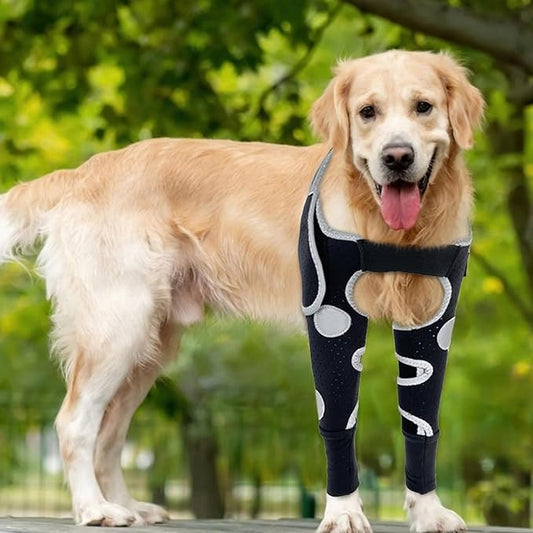 Dog Elbow & Dog Shoulder Brace to Stop Licking – Front Leg Brace for Dogs for Elbow Injuries & Post-Surgery Recovery, Breathable Dog Sleeves for Front Legs, Reflective – Both Legs, L