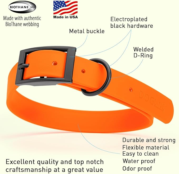 Dogline Biothane Coated Webbing Dog Collar with Black Metal Hardware: Durable Easy-Clean Everyday Collar for Dogs - Comfortable Adjustable Odor-Resistant Pet Collar, W1 x L22-25", Hunter Orange