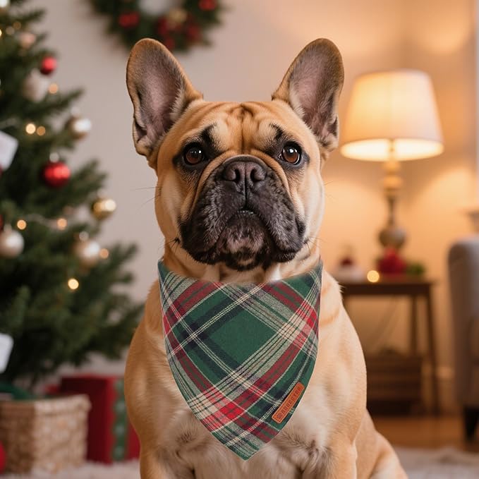 ADOGGYGO Christmas Dog Bandanas 2 Pack, Premium Cotton Fabric, Red Green Plaid Xmas Pet Scarf, Christmas Bandanas for Small Dogs (Small)