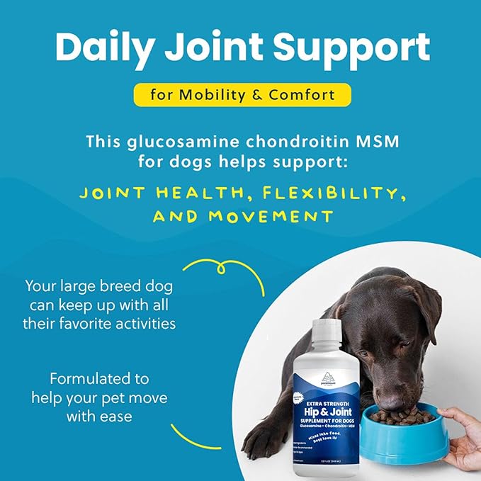 Paramount Pet Health Liquid Glucosamine for Dogs, Hip & Joint Supplement with Chondroitin & MSM, 32 oz Mobility Support for Large Dogs, Human-Grade Joint Care Made in GMP & FDA Registered Facility