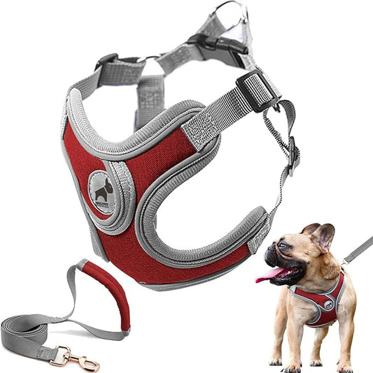Dog Harness with Leash Set, No Pull Adjustable Step in Collars Frenchie Harness Vest for Small Medium Dogs Walking and Running Christmas Red (S, Red)