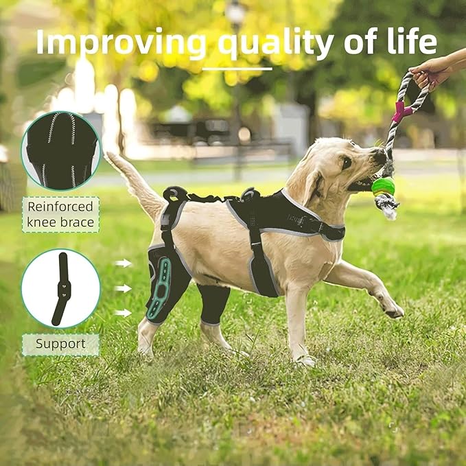 Dog Knee Brace for ACL/CCL Injuries,Torn Ligament,Luxating Patella - Rear Leg Support,Pain Relief,Joint Warmth,Black,Upgraded,Both Legs,Size:XL
