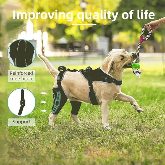 Dog Knee Brace for ACL/CCL Injuries,Torn Ligament,Luxating Patella - Rear Leg Support,Pain Relief,Joint Warmth,Black,Upgraded,Both Legs,Size:XL
