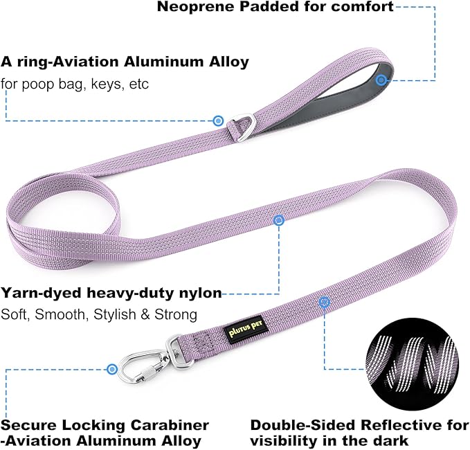 Plutus Pet Heavy Duty Dog Leash with Lockable Aluminum Carabiner, 4/6 Feet Long, Double-Sided Reflective Nylon, Padded Handle, for Puppy, Small, Medium and Large Dogs (Lilac Purple, 1" x 4')