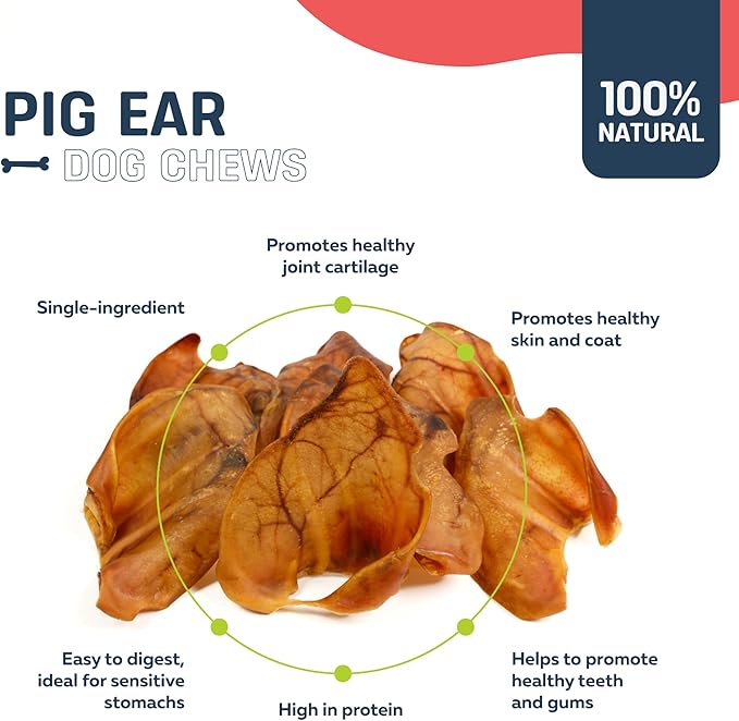 Big Lu – Whole Pig Ears for Dogs, 12 Count, All-Natural Single-Ingredient Pork Treats for Medium and Large Dogs, Easily Digestible, Long-Lasting, Supports Joint Health with Glucosamine and Chondroitin