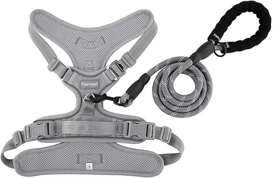 Adjustable Dog Harness - No Pull, Reflective, Soft Padded for Small, Medium, Large Dogs - Includes Leash Silver XL