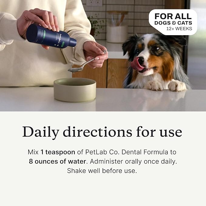 PetLab Co. Cat and Dog Dental Formula, Keep Dog Breath Fresh and Teeth Clean, Supports Gum Health - Water Additive Dental Care Targets Tartar, Pack of 2 - Packaging May Vary