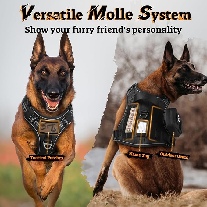rabbitgoo Dog Harness for Large Dogs No Pull, Tactical Service Pet Vest with Molle and Control Handle, Adjustable and Reflective Military Harness for Easy Walking and Training, Black, L