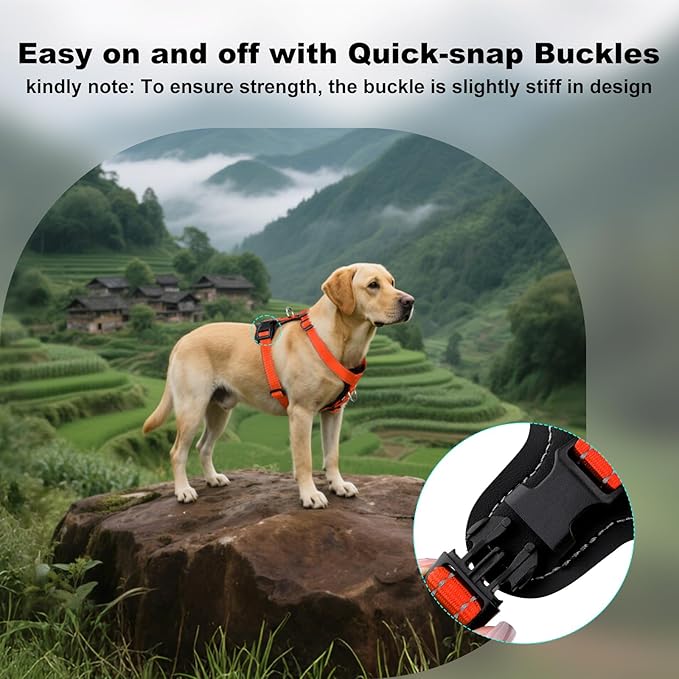 Plutus Pet Adjustable No Pull Dog Harness with Leather Accents, Heavy Duty Reflective Nylon Vest for Training, Hiking, Easy Walk Harness for Small, Medium, Large Dogs (Orange, L)