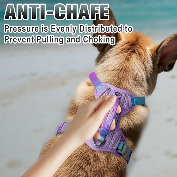 BARKBAY No Pull Dog Harness Large Reflective Dog Harness with Front Clip and Easy Control Handle for Walking Training Running with ID tag Pocket(Lavender Sky,XS)