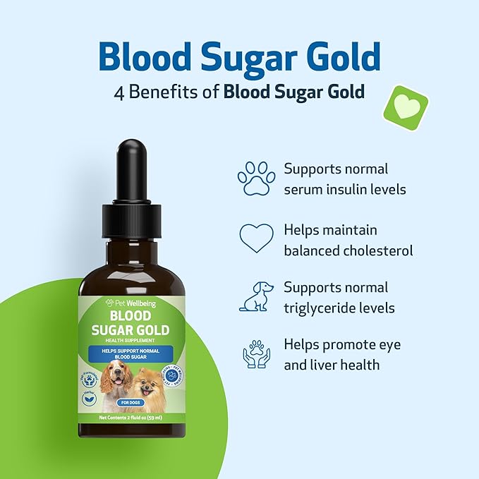 Pet Wellbeing Blood Sugar Gold Dogs - Holistic Blood Sugar Support, Pancreas & Liver Health, Gymnema, Fenugreek & Devil’s Club - NASC Certified & Vet-Formulated - 2 oz Liquid