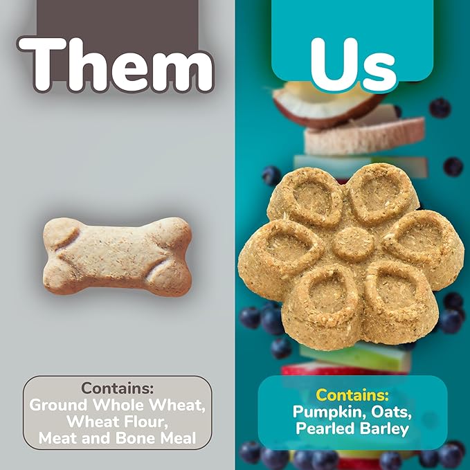 Fruitables Biggies Dog Biscuits, Pumpkin Treats for Dogs, Healthy Doggie Biscuits, Crunchy Treats, No Wheat, Corn or Soy, Made in The USA, Almond Butter and Coconut Flavor, 16oz