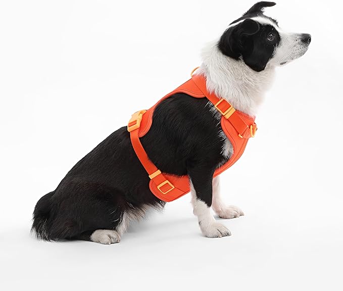 HNS1003A Arlo Large Adjustable Soft Padded No Pull Pet Harness with 3 Buckles and 3 Leash Clips, Aperol