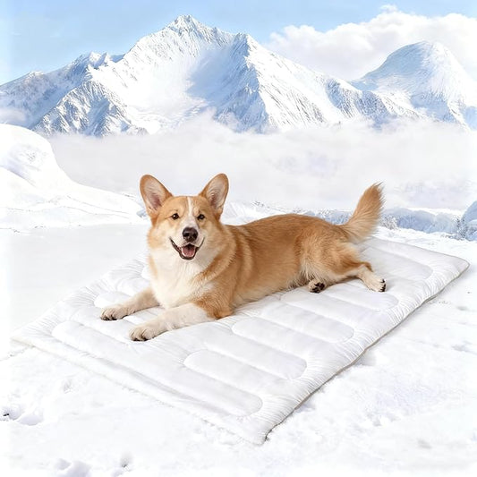 Dog Cooling Mat, Reversible Self-Cooling Mat for pet, Cool Fabric Top & Velvet Back, Portable Ice Cool Fabric Dog Bed, Easy Washable Summer Pets Cool Pad for Indoor Outdoor (L(48.0″*27.9″))