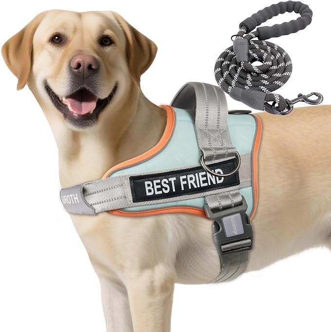 AUROTH Dog Harness and Leash Set, Soft Padded Service Dog Vest with 5.25FT Dog Leash, No Choke, Easy On Pet Vest, Adjustable Reflective No Pull Dog Harness for Large Dogs, Easy Walking and Training