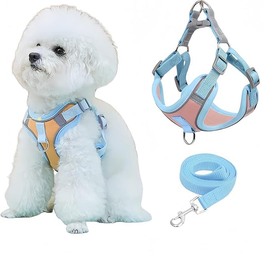 NOWFRESH Cats and Small Dogs Harness and Leash for Walking - Escape Proof Soft Adjustable Vest, Breathable with Reflective Strips for Easy Control（Blue and Pink）