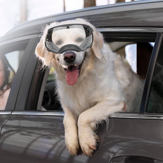 PETLESO Clear Dog Goggles for Large Dogs, Anti-UV Pet Sunglasses for Medium to Large Breed, Dog Eye Protection for Driving Riding Hiking, Wide View &Soft Frame, Adjustable, Clear Lens