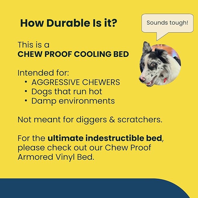 K9 Ballistics Chew Proof Elevated Outdoor Cooling Cot Bed for Large Dogs - Virtually Indestructible, Preassembled, Withstands Aggressive Chewers - L, Black Mesh