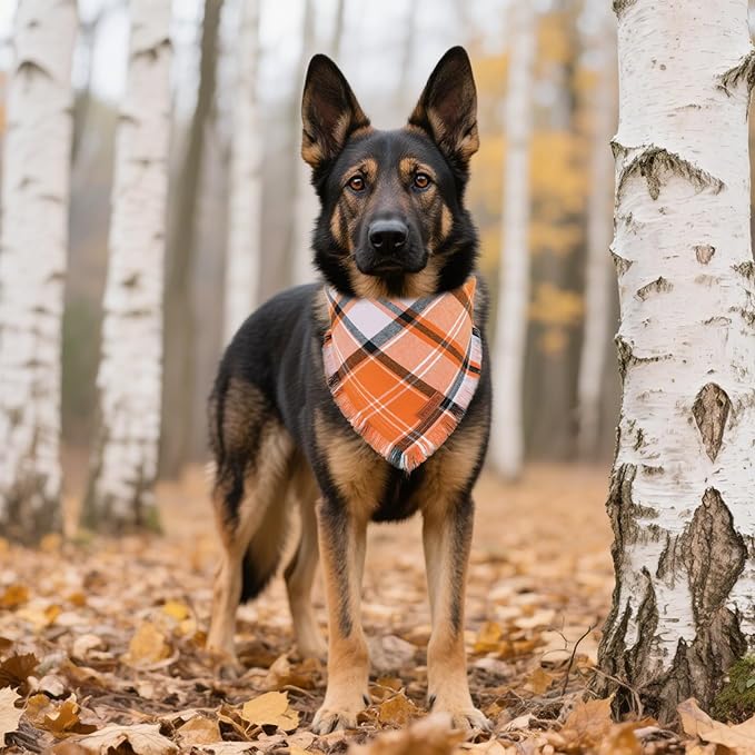 PTDECOR Fall Dog Bandanas with Tassels Edges, 2 Pack Orange Plaid Scarf Bib, Halloween Thanksgiving Pet Bandana, Reversible Triangle Bandanas for Extra Large Dogs (X-Large)