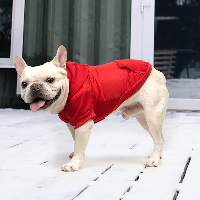 KOOLTAIL Warm Dog Winter Coat for Small Dogs, Waterproof Puppy Jacket with Leash Hole,Cold Weather Pet Vest for Winter, Soft Hoodie Sweater Sweatshirt Clothes Outfit for Puppy Cats Girls Boys Red L