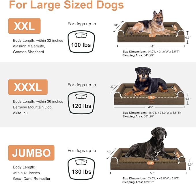 Large Dog Bed Orthopedic Washable: Beds Bolster XXL Bed Big XLarge Dogs Egg Crate Foam Sofa Couch Waterproof Removable Cover - Dark Coffee