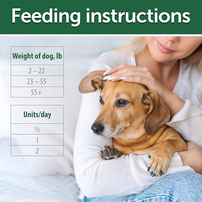 Nature's Protection Dental Chews for Dogs - Grain Free Dental Sticks for Puppy - Dog Teeth Cleaning Treats for Small & Large Breed Dogs Bad Breath (Superior Care - Insects, 5.29 oz)