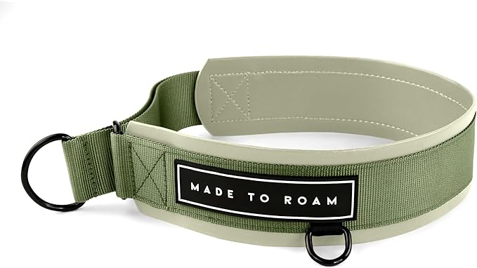 MADE TO ROAM Premium Everyday Dog Collar - Martingale Style No Pull Vegan Leather Collar, Heavy Duty and Lightweight for Small, Medium, Large Dogs (Washington Rain, Size 8)