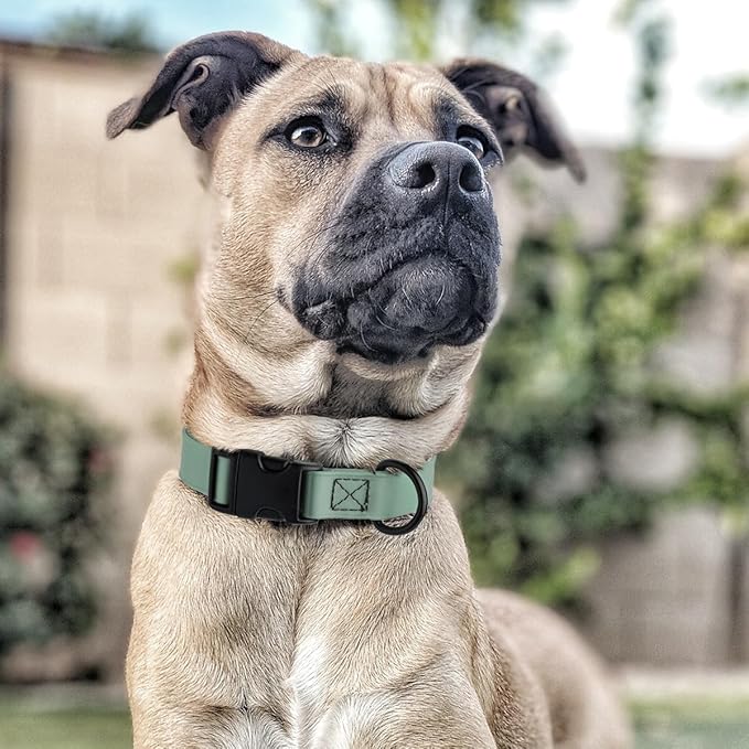 Dogline Durable Biothane Waterproof Collar for Dogs - Odor-Resistant Coated Webbing, Quick-Release Design, Comfortable Adjustable Fit, 5/8" W by 10-14" L,Sage Green