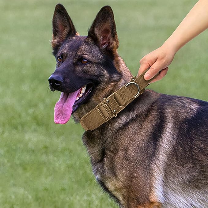 Tactical Dog Collar and Leash Set Heavy Duty Military Dog Collar with Handle and Metal Buckle for Medium and Large Dogs (Brown, M)
