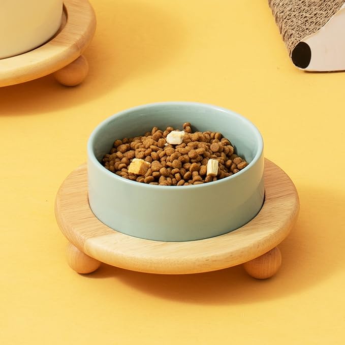 Havniva Ceramic Elevated Cat Food and Water Bowl, Kitty Bowl, Raised Cat Dish, Pet Feeder (5.1 in,1 x Light Green + Stand)