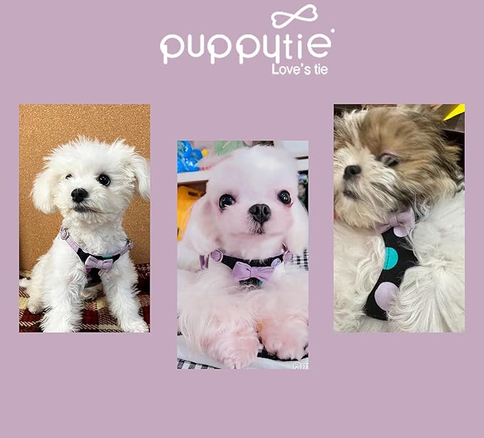 Puppytie No Pull xs Dog Harness with Multifunction Dog Leash,Soft Adjustable No Choke Escape Proof Pet Harness Vest,Polka dots Taro Purple,XS