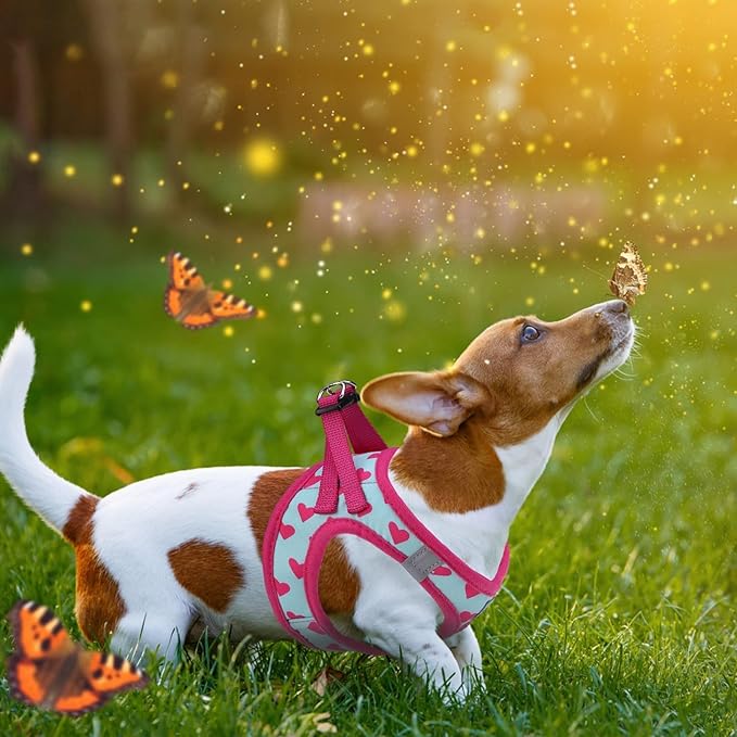 KOOLTAIL Dog Harness and Leash Set for Small Medium Dogs, Step in No Pull Soft Mesh Dog Harness Comfort Padded Pet Vest, Adjustable Reflective Easy Walking Puppy Cats Harnesses Training, Pink Heart S