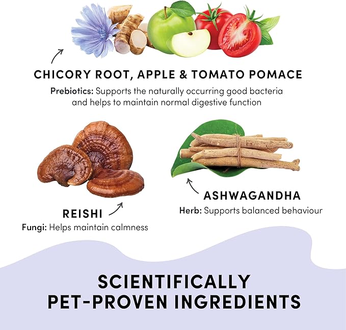CRUMPS NATURALS Gutsy-Calm Bites 4.6oz/130g, Dog Treats, Supplements