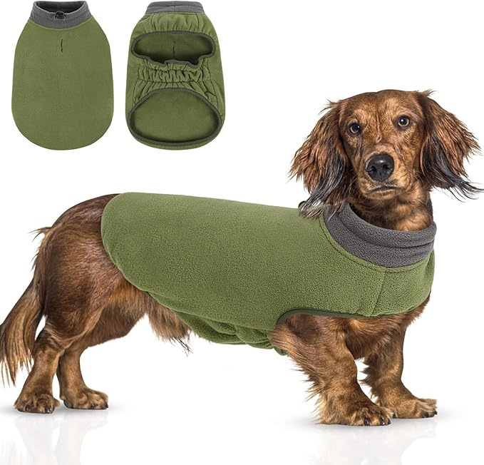 Queenmore Soft Fleece Dog Jacket, Warm Winter Coat with Elastic Stretchable, Dachshund Sweaters for Small Dogs Cats Boy or Girl (Green, M)