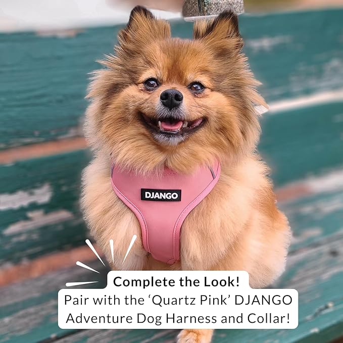 DJANGO Cotton Rope Dog Leash 5ft – Handcrafted Dog Leash and Pink Ombre Braided Leash for Small, Medium, and Large Dogs – Stylish and Durable 5 Foot Training Lead with Silver Hardware – Quartz Pink