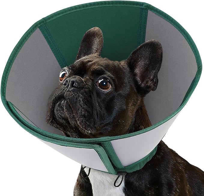 Queenmore Dog Cones for Medium Dogs, Soft Dog Cone, Cone for Dogs After Surgery, Adjustable Recovery Collar for Wound Healing, Comfortable Pet E-Collar to Stop Licking (Dark Green,M)