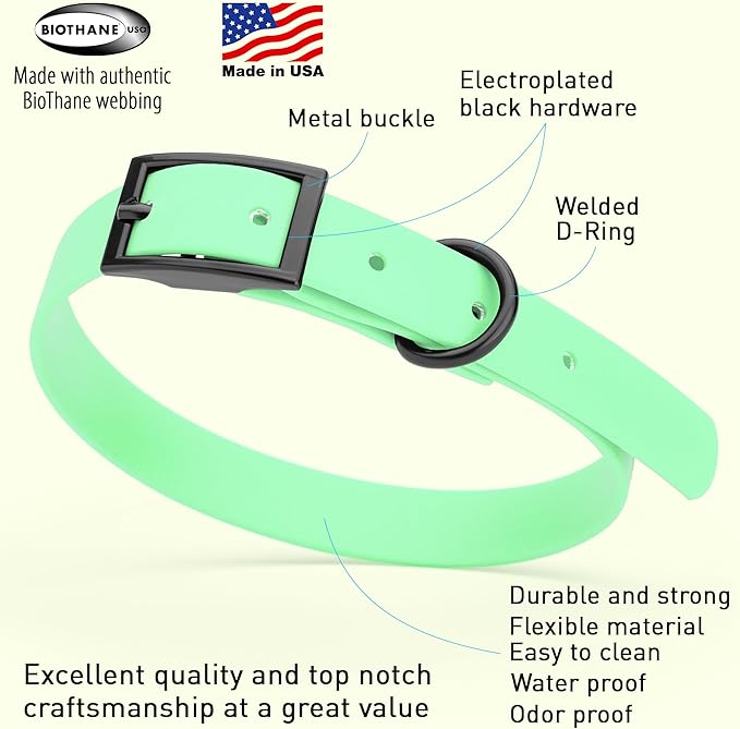 Dogline Biothane Coated Webbing Dog Collar with Black Metal Hardware: Durable Easy-Clean Everyday Collar for Dogs - Comfortable Adjustable Odor-Resistant Pet Collar, W5/8" x L12-15, Sea Foam Green