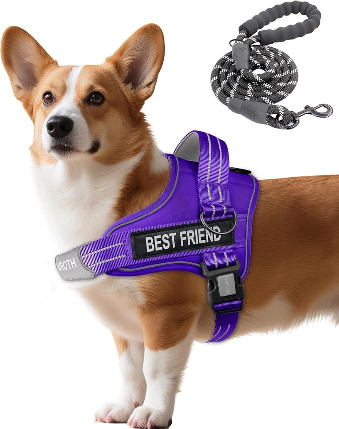 AUROTH Dog Harness and Leash Set, Soft Padded Service Dog Vest with 5.25FT Dog Leash, No Choke, Easy On Pet Vest, Adjustable Reflective No Pull Dog Harness for Large Dogs, Easy Walking and Training