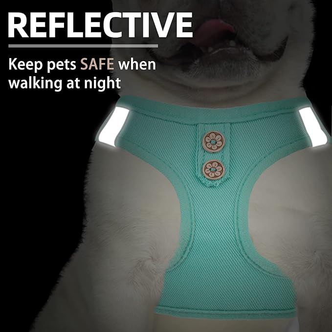 PUPTECK Dog Harness and Leash Set for Small Medium Dogs No Pull Step-in Soft Mesh Puppy Cat Vest Harnesses Reflective at Night, Denim Green M