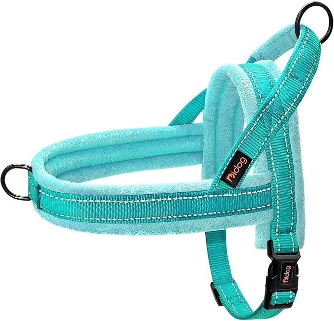 Didog Soft Flannel Padded Dog Vest Harness, No Pull/Quick Fit Reflective Dog Strap Harness, Easy for Training Walking (S:Chest 18-22", Green)