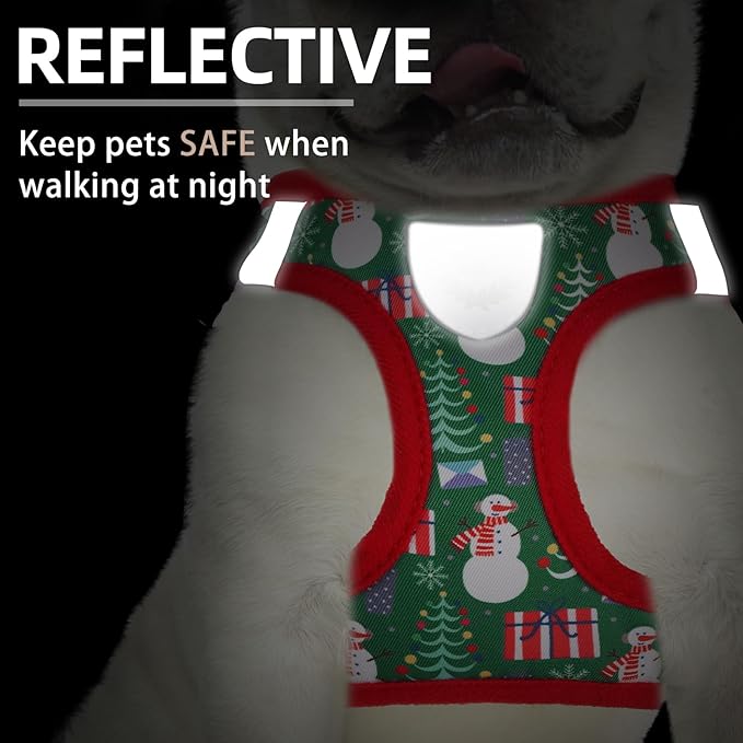 PUPTECK Adjustable Dog Harness Collar and Leash Set Step in No Pull Pet Harness for Small Medium Dogs Puppy and Cats Outdoor Walking Running, Christmas, XS